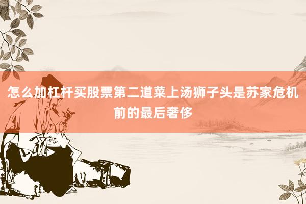 怎么加杠杆买股票第二道菜上汤狮子头是苏家危机前的最后奢侈