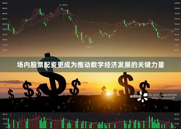 场内股票配资更成为推动数字经济发展的关键力量