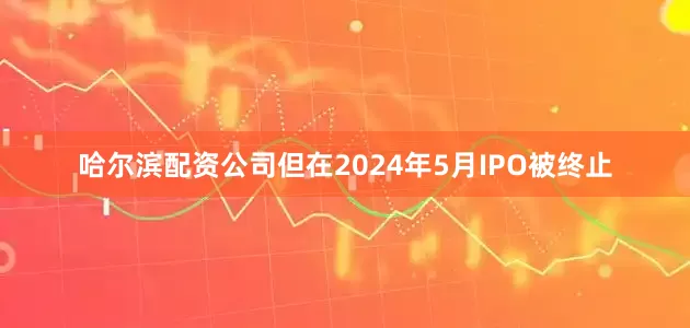哈尔滨配资公司但在2024年5月IPO被终止