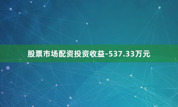 股票市场配资投资收益-537.33万元